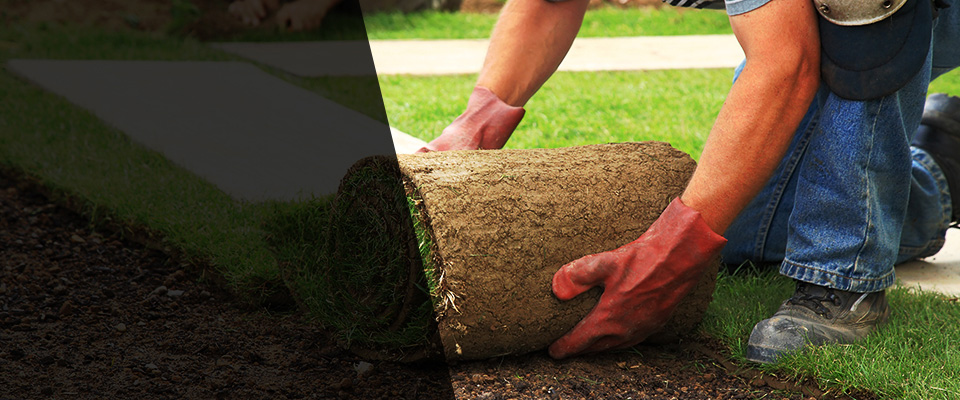 Sainte Genevieve Landscapers